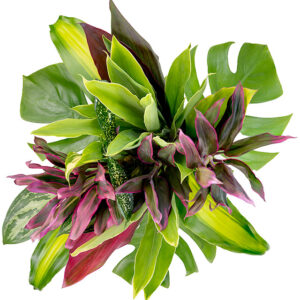 Foliage Bouquet Tips