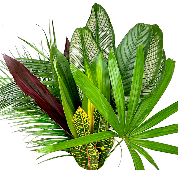 Foliage Bouquet Foliage Bouquet