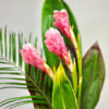 Pink Ginger Bouquet