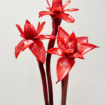 Red Porceline Torch Ginger