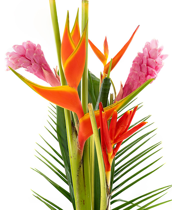 Tropical Bouquet Big Bouquet Pink Big Bouquet Pink