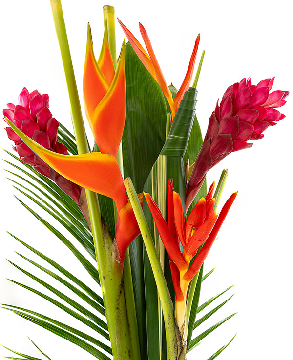 Tropical Bouquet Big Bouquet Big Bouquet Red