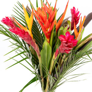 Musa Coccinea Bouquet