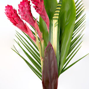 Red Ginger Bouquet