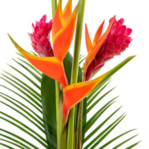 Tropic Night Bouquet